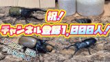 YouTubeチャンネル登録者数1,000人！