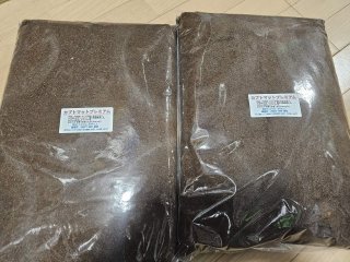 クワ品♡ adidas×Kawasakiの人気コラボ第二弾が抽選受付中！ | シューズ